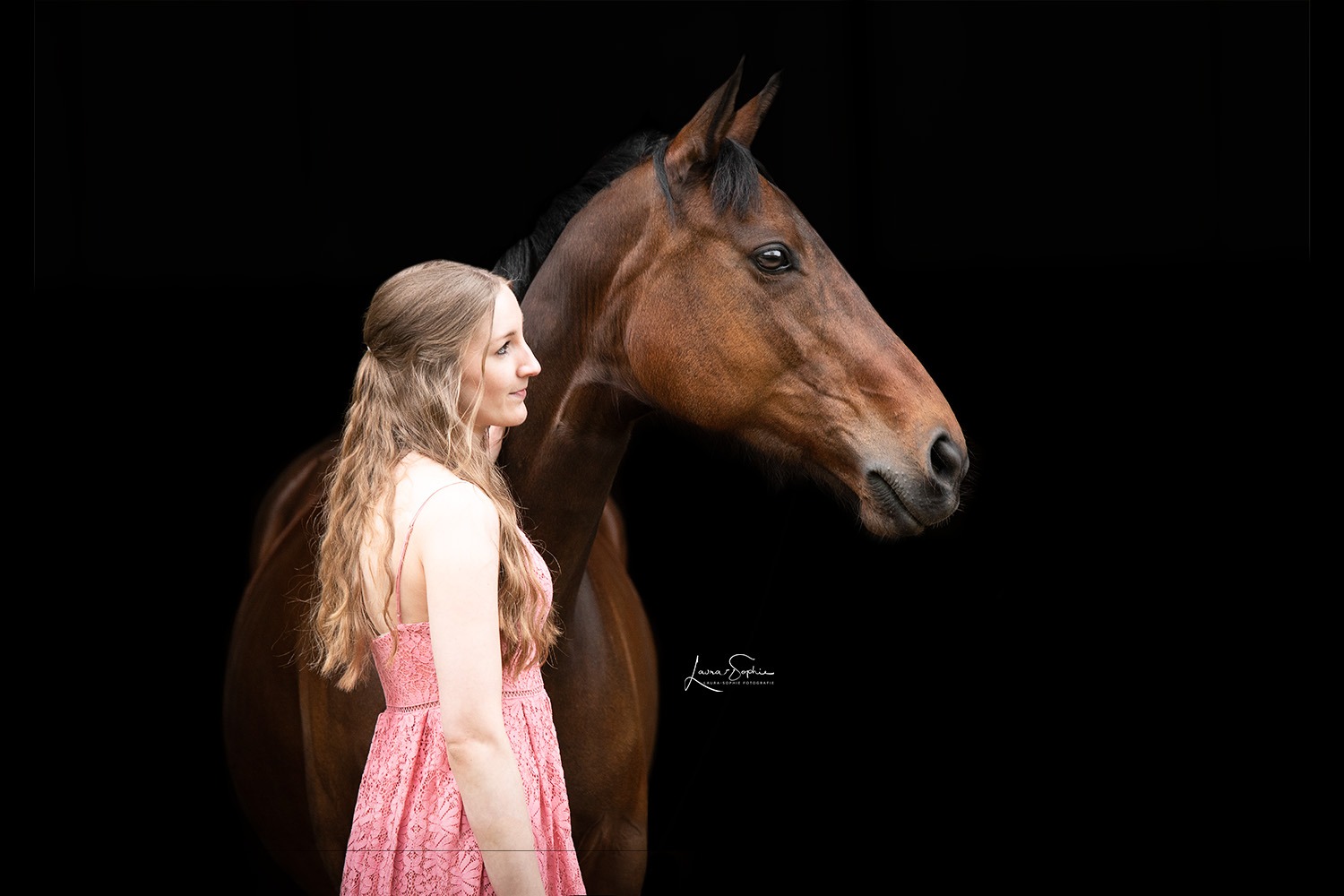Fotoshooting Pferd schwarzer Hintergrund Kleid Neustadt am Rübenberge