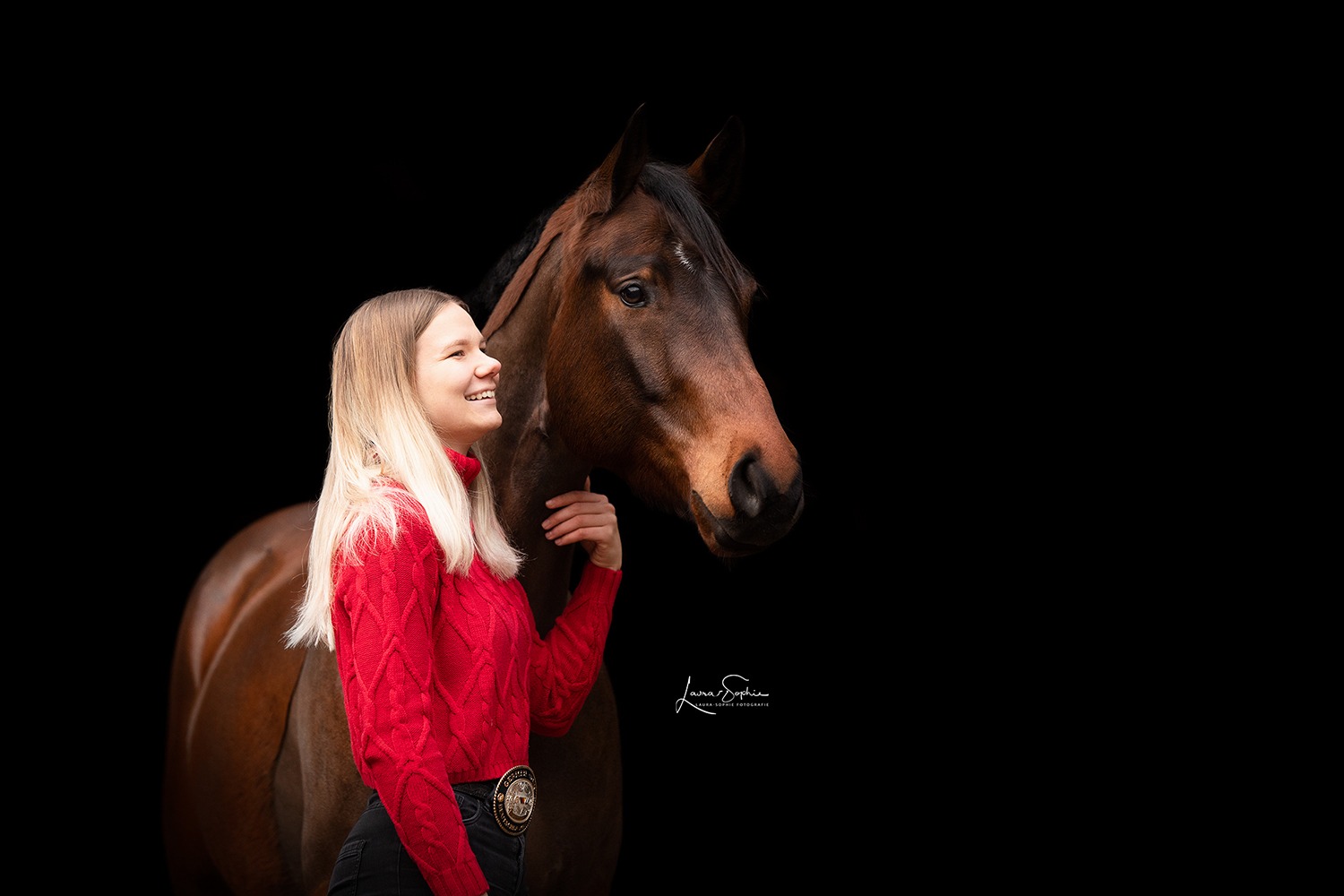 Fotoshooting Quarter Horse Schwarzer Hintergrund Studio
